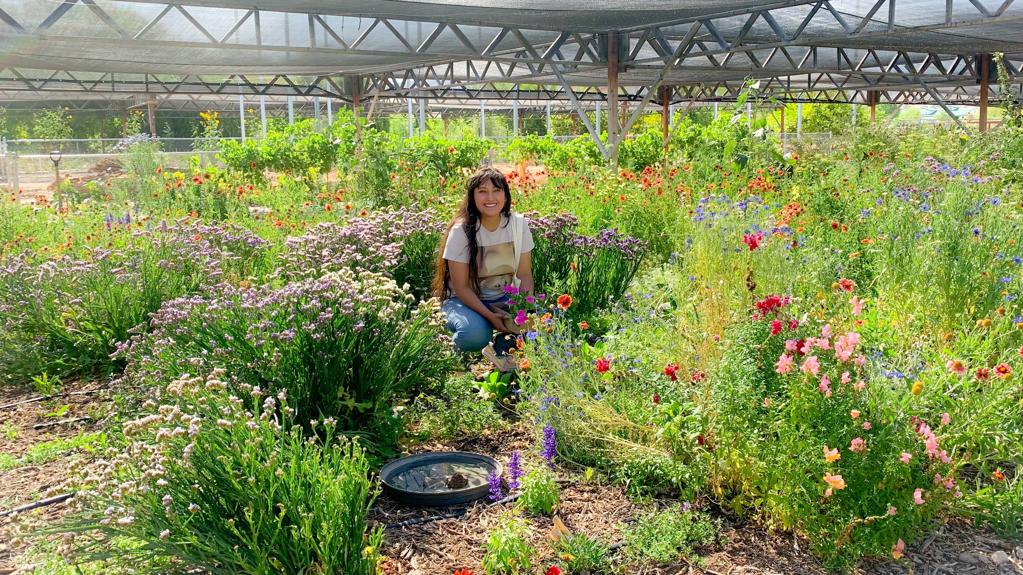Person sitting among colorful flowers in a greenhouse